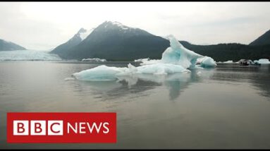 Alaska’s melting glaciers drive of us from their homes as sea rises – BBC News