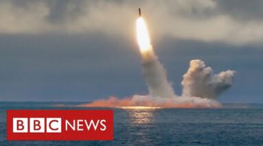 Putin locations Russia’s nuclear weapons on excessive alert – BBC News