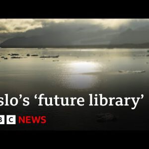 The ‘future library’ collecting books that obtained’t be read for 100 years – BBC News