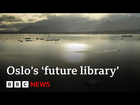 The ‘future library’ collecting books that obtained’t be read for 100 years – BBC News