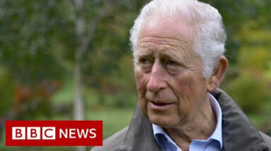 Prince Charles tells BBC his Aston Martin runs on wine and cheese – BBC Data