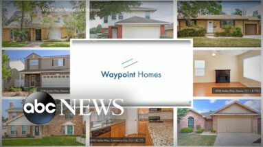 ABC Recordsdata investigation finds complaints against condominium home extensive