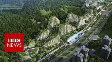 China’s first forest metropolis – BBC News