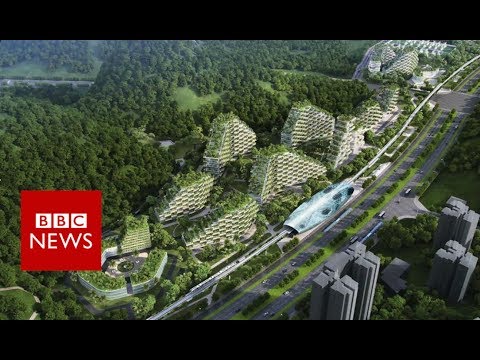 China’s first forest metropolis – BBC News