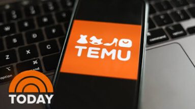 Temu: What or not it’s some distance a must to perceive in regards to the scorching browsing app