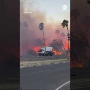 New video exhibits a huge fire raging attain homes in Maui, Hawaii