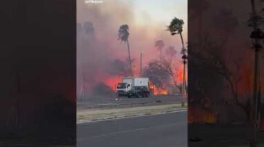 New video exhibits a huge fire raging attain homes in Maui, Hawaii