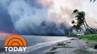 Survivors of wildfires in Hawaii fragment harrowing tales