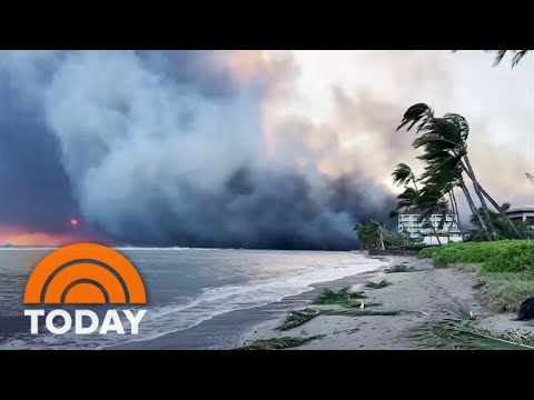 Survivors of wildfires in Hawaii fragment harrowing tales