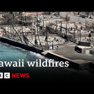 Maui fire loss of life toll rises to at the least ninety nine – BBC Recordsdata