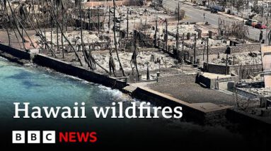 Maui fire loss of life toll rises to at the least ninety nine – BBC Recordsdata
