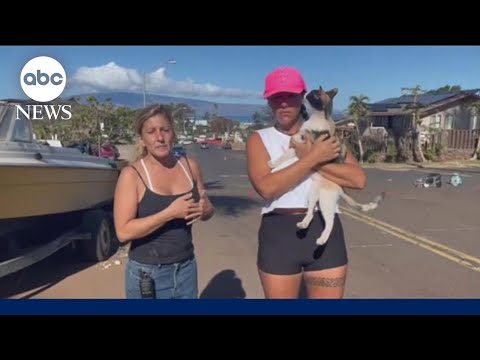Volunteers search pets in wake of Maui wildfires | WNT