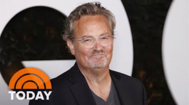 Unique indispensable aspects emerge on death of ‘Company’ enormous title Matthew Perry