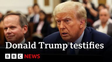 Donald Trump testifies in Unique York civil fraud trial – BBC Info