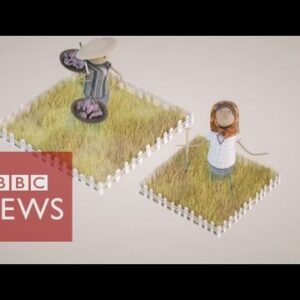 The ladies denied rights to have land  – BBC Data