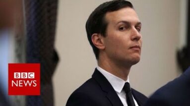 Is Jared Kushner if truth be told a ‘hidden genius’? – BBC News