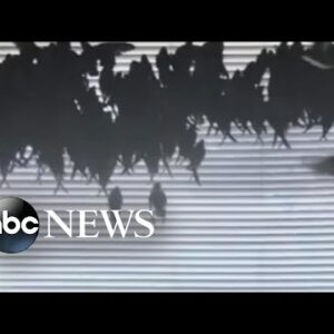 California couple comes house to hundreds of birds in apartment l ABC Recordsdata