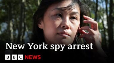 Modern York governor’s ex-aide charged as Chinese language survey | BBC News