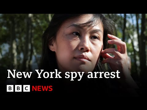 Modern York governor’s ex-aide charged as Chinese language survey | BBC News