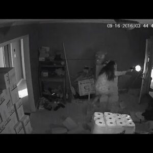 Mettlesome Lady Fires Gun at Three Armed Burglars Who Entered Her House