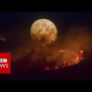 Elevated Manchester: Properties evacuated as moorland fire declared ‘major incident’ – BBC News