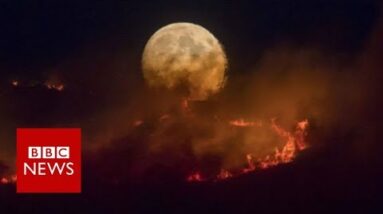 Elevated Manchester: Properties evacuated as moorland fire declared ‘major incident’ – BBC News