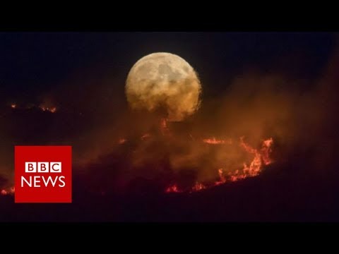 Elevated Manchester: Properties evacuated as moorland fire declared ‘major incident’ – BBC News