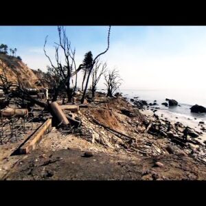 Lottery Winner Edwin Castro’s Dwelling Destroyed All over Wildfire