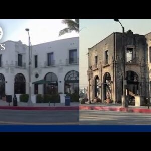 Before and After: Strolling tour of Pacific Palisades illustrates wildfire destruction