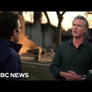 Newsom issues executive dispute suspending environmental regulations to support L.A. rebuild after fires